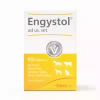 Engystol Tabletten