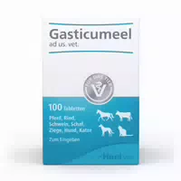 100 stk