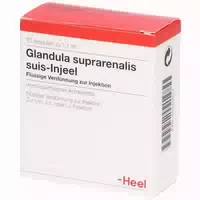Glandula Suprarenalis Suis Injeel Ampullen 10 st Ampullen