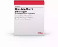 Glandula Thymi Suis Injeel 100 Ampullen