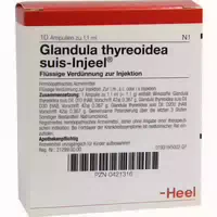 Glandula Thyreoidea Suis Injeel Ampullen 10 St Ampullen