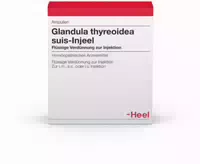 Glandula Thyreoidea Suis Injeele 1,1 ml Flüssige Verdünnung