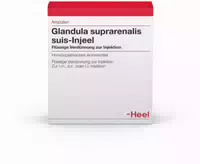Heel Grandula Suprearenalis Suis Injeel 10x1,1ml