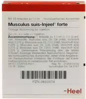 Musculus Suis Injeele