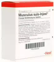 Musculus Suis Injeele Forte
