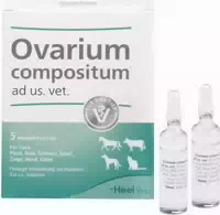 Gleitgel Vet für Tiere