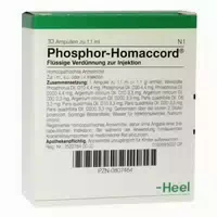 Phosphor Homaccord Ampullen Vet Für Tiere