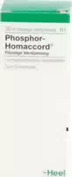 Phosphor Homaccord Tropfen 100 Ml Tropfen