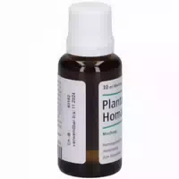 Plantago Homaccord Tropfen