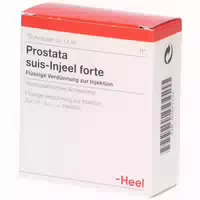 Ren Suis Injeel Forte Ampullen