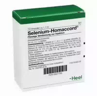 Selenium Homaccord Ampullen 10 St Ampullen