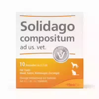 Solidago Compositum Ampullen Ad Usus Veterinã¤r