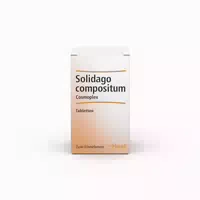Solidago Compositum Cosmoplex Tabletten 250 st Tabletten