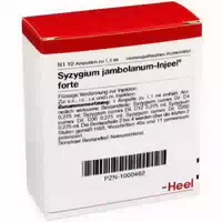 Syzygium Jambolanum Injeel Forte Ampullen