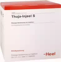 Thuja Injeel S Ampullen 100 Ampullen