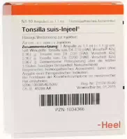 Tonsilla Suis Injeele