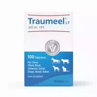 Traumeel Lt Ad Us Vet 100 St Tabletten