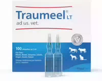 Traumeel Lt Ad Us Vet 100 X 5 ml Ampullen