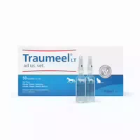 Traumeel Lt Ad Us Vet Ampullen 5x5 Ml Ampullen