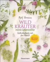 Heilen Mit Wildkräutern Meine Lebensretter Aus Der Natur
