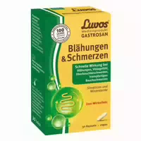 Luvos Gastrosan Blähungen & Schmerzen 30 St Kapseln