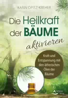 Die Heilkraft Der Bäume Aktivieren