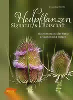 Heilpflanzen Signatur Und Botschaft