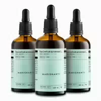 Marishanti Schachtelhalm Extrakt – Alkoholfrei 3x300 Ml