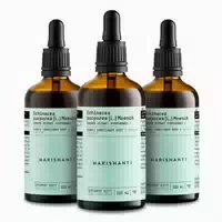 Marishanti Echinacea Extrakt – Alkoholfrei 3x300 Ml
