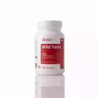 Herbbio Wild Yams 500 mg – 120 Kapseln mit Yamswurzel Extrakt