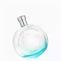 Hermès Eau Des Merveilles Bleue Eau De Toilette Spray 100ml 0,1 L