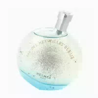 Hermès Eau des Merveilles Bleue Eau De Toilette Spray 50ml 0,05 l