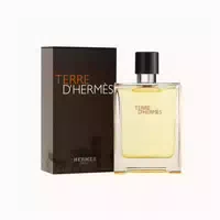 Hermes Terre D´hermes Eau De Toilette 100ml 0,1 L