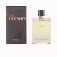 Hermes Terre D Hermes Eau De Toilette Spray 100ml