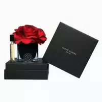 Set : Ecorce Fauve Room Spray 10ml Black Couture Flower Porzellan Aroma Reed Diffuser Schwarz 0,01 l