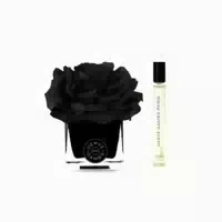 Set : Ombre Patchouli Room Spray 10ml Black Couture Flower Porzellan Aroma Reed Diffuser Schwarz 0,01 l