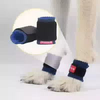 2 ct