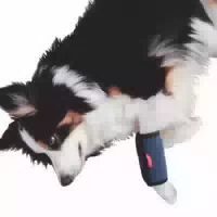 Herzenstier Kühl und Wärmebandage für Hunde & Katzen