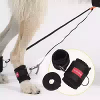 Herzenstier Trainingsbandage für Hunde