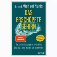 Das Erschöpfte Gehirn
