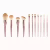 Radiance Makeup Brush Set