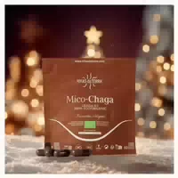 Mico Chaga Bio Pilzextrakt Chaga Refill 60 St