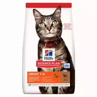 Hills Science Plan Adult Katzenfutter Mit Lamm Und Reis
