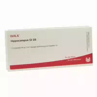 Hippocampus Gl D 5 Ampullen 10x1 Ml Ampullen