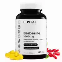 Berberin 1000 Mg | 120 Vegane Kapseln 120 St