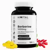Hivital Berberin Kapseln 120 St