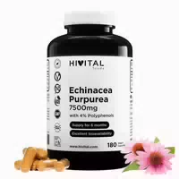Echinacea Purpurea 7500 mg | 180 Vegane Kapseln 180 st