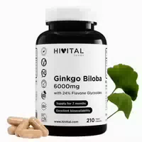 Ginkgo Biloba 6000 mg | 210 Vegane Kapseln 210 st