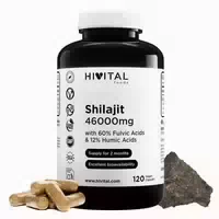 Shilajit 46000 Mg | 120 Vegane Kapseln 120 St