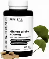 Hivital Ginkgo Biloba 6000 mg Kapseln